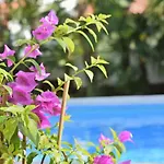 Apartment Vesna 343